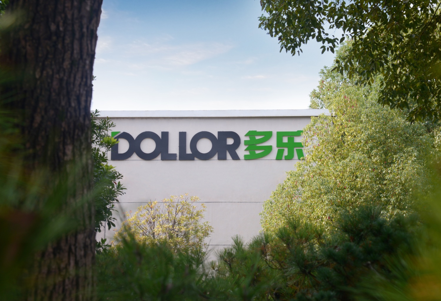 2025 ╨║╨░╤В╨░╨╗╨╛╨│ DOLLOR ENG-images-2.jpg